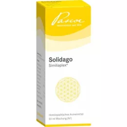 SOLIDAGO SIMILIAPLEX Csepp, 50 ml