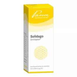 SOLIDAGO SIMILIAPLEX Csepp, 50 ml