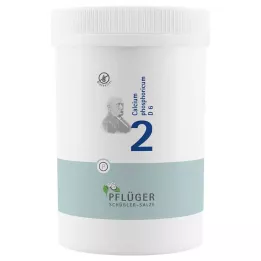 BIOCHEMIE Ploughmans Plaster 2 Calcium phosphoricum D 6 tbl, 4000 db