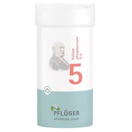 BIOCHEMIE Ploughmans Plaster 5 Kalium phosphoricum D 6 por, 100 g