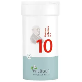 BIOCHEMIE Ploughmans Plaster 10 Natrium sulphuricum D 6 por, 100 g