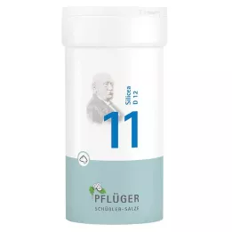BIOCHEMIE Ploughmans 11 Silicea D 12 por, 100 g