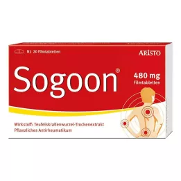 SOGOON 480 mg filmtabletta, 20 db