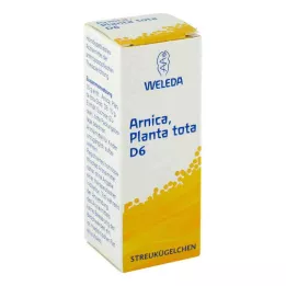 ARNICA PLANTA tota D 6 golyócskák, 10 g
