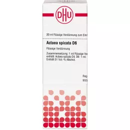 ACTAEA SPICATA D 6 Hígítás, 20 ml