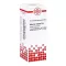 ASTERIAS RUBENS D 6 Hígítás, 20 ml