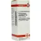 HARPAGOPHYTUM PROCUMBENS C 30 hígítás, 20 ml