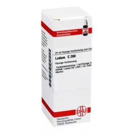 LEDUM C 200 hígítás, 20 ml