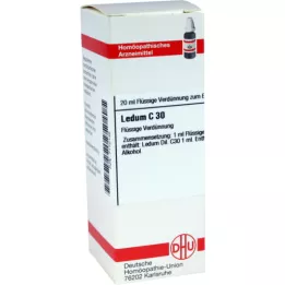 LEDUM C 30 hígítás, 20 ml