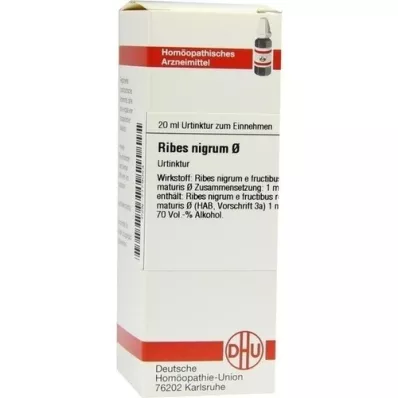 RIBES NIGRUM anyatinktúra, 20 ml