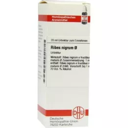 RIBES NIGRUM anyatinktúra, 20 ml