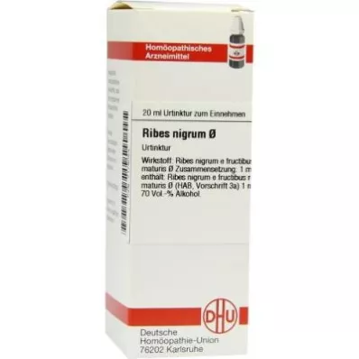 Ribes Nigrum anyatinktúra (20 ml)