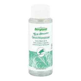 TEEBAUM ARCVÍZ, 125 ml