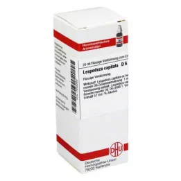 LESPEDEZA CAPITATA D 6 Hígítás, 20 ml