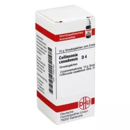 COLLINSONIA CANADENSIS D 4 golyó, 10 g