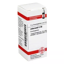 JABORANDI C 30 gömböcskék, 10 g