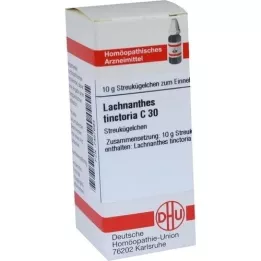 LACHNANTHES tinctoria C 30 gömböcskék, 10 g