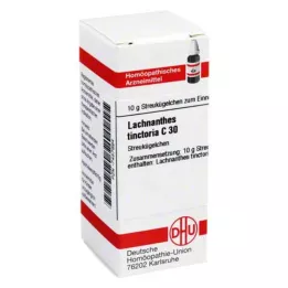 LACHNANTHES tinctoria C 30 gömböcskék, 10 g