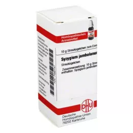 SYZYGIUM JAMBOLANUM D 6 gömböcske, 10 g