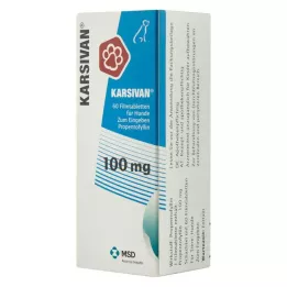 KARSIVAN 100 filmtabletta kutyáknak, 60 db