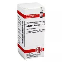 ADLUMIA fungosa D 12 gömböcske, 10 g
