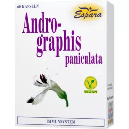 ANDROGRAPHIS paniculata kapszula, 60 db
