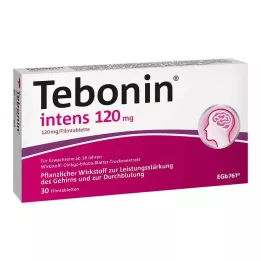 TEBONIN intenzív 120 mg filmtabletta, 30 db
