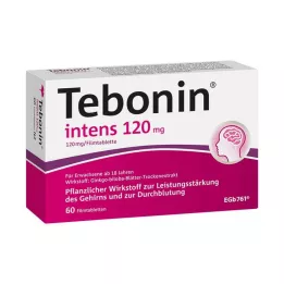 TEBONIN intenzív 120 mg filmtabletta, 60 db