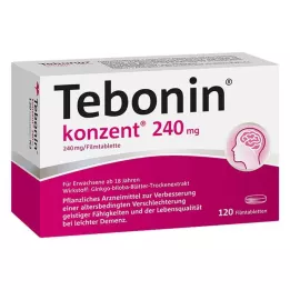 TEBONIN koncentr 240 mg filmtabletta, 120 db