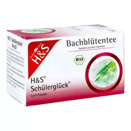 H&amp;S Bach Virágok Diákboldogság tea filteres tasak, 20X3.0 g