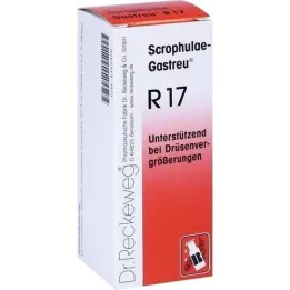 SCROPHULAE-Gastreu R17 keverék, 50 ml