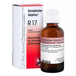 SCROPHULAE-Gastreu R17 keverék, 50 ml