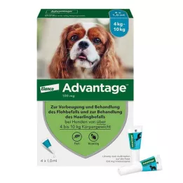 ADVANTAGE 100 oldat 4-10 kg-os kutyáknak, 4 db