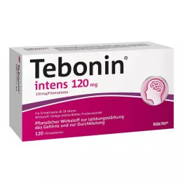 TEBONIN intenzív 120 mg filmtabletta, 120 db