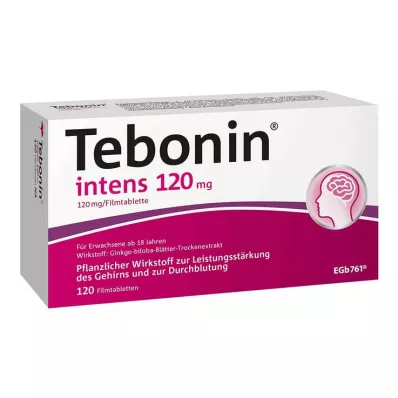 TEBONIN intenzív 120 mg filmtabletta, 120 db