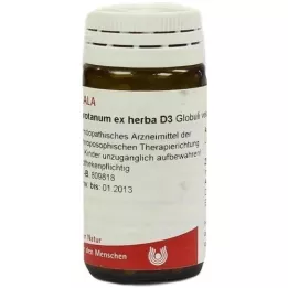 ABROTANUM EX Herba D 3 golyócskák, 20 g