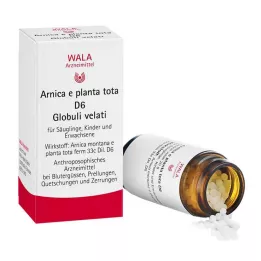 ARNICA E Planta tota D 6 golyó, 20 g