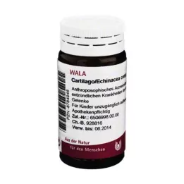 CARTILAGO/Echinacea comp. golyócskák, 20 g