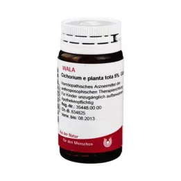 CICHORIUM E planta tota 5% gömböcskék, 20 g