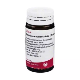 ECHINACEA E planta tota D 3 golyó, 20 g