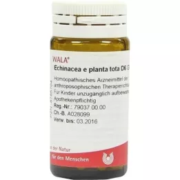 ECHINACEA E planta tota D 6 golyó, 20 g