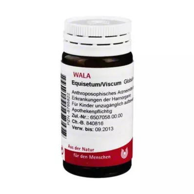Equisetum / Viscum Globules, 20 g