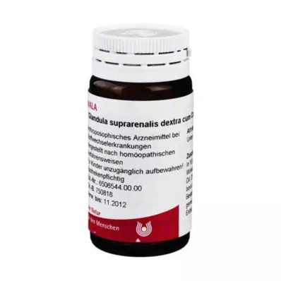 Glandula suprarenalis Dextra c., 20 g Glandula suprarenalis Dextra c., 20 g