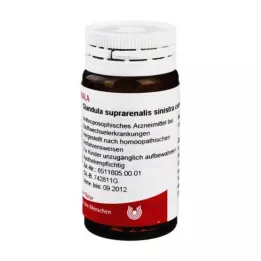 GLANDULA SUPRARENALES sinistra cum Cupro gömböcskék, 20 g