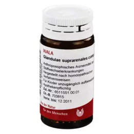 GLANDULAE SUPRARENALES comp.globulák, 20 g