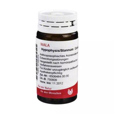 HYPOPHYSIS/STANNUM Gömböcskék, 20 g