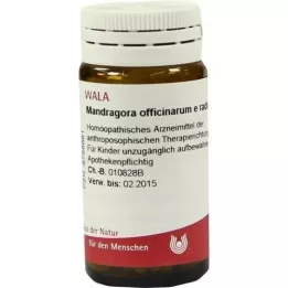 MANDRAGORA OFFICINARIUM e radice D 6 gömböcskék, 20 g