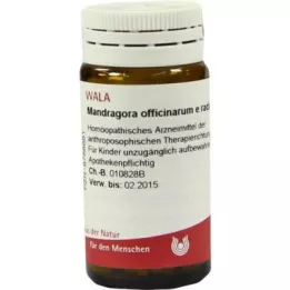 MANDRAGORA OFFICINARIUM e radice D 6 gömböcskék, 20 g