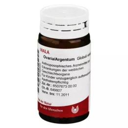 OVARIA/ARGENTUM Gömböcskék, 20 g