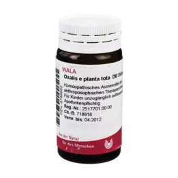 OXALIS E planta tota D 6 golyó, 20 g